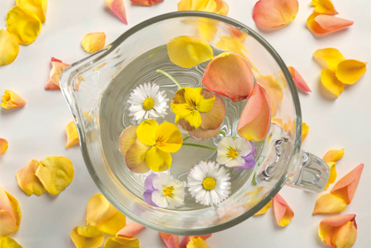 Blumen-Kräuter-Wasser Blumen-Kräuter-Wasser