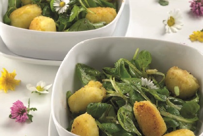 Frühlings-Salat mit Erdäpfel-Krapferln Frühlings-Salat mit Erdäpfel-Krapferln