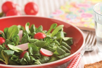 Vogerlsalat mit Radieschen Vogerlsalat mit Radieschen