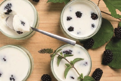 Buttermilch-Brombeer-Gelee Buttermilch-Brombeer-Gelee