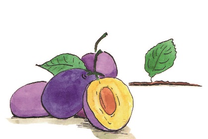 Fruchtmilch Fruchtmilch