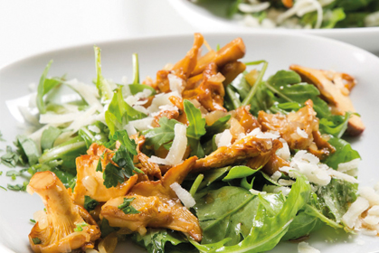 Schwammerl-Salat mit Rucola Schwammerl-Salat mit Rucola