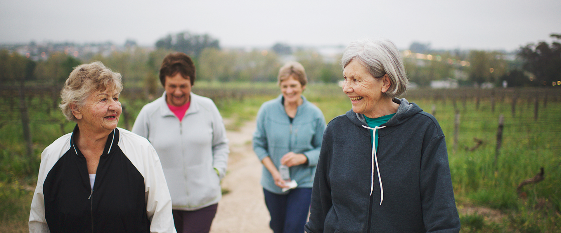 Vier ältere Frauen gehen gemeinsam auf einem Feldweg durch eine grüne Landschaft. Vier ältere Frauen gehen nebeneinander auf einem hellen Feldweg. Links und rechts erstreckt sich eine grüne Landschaft mit niedriger Vegetation im Hintergrund.