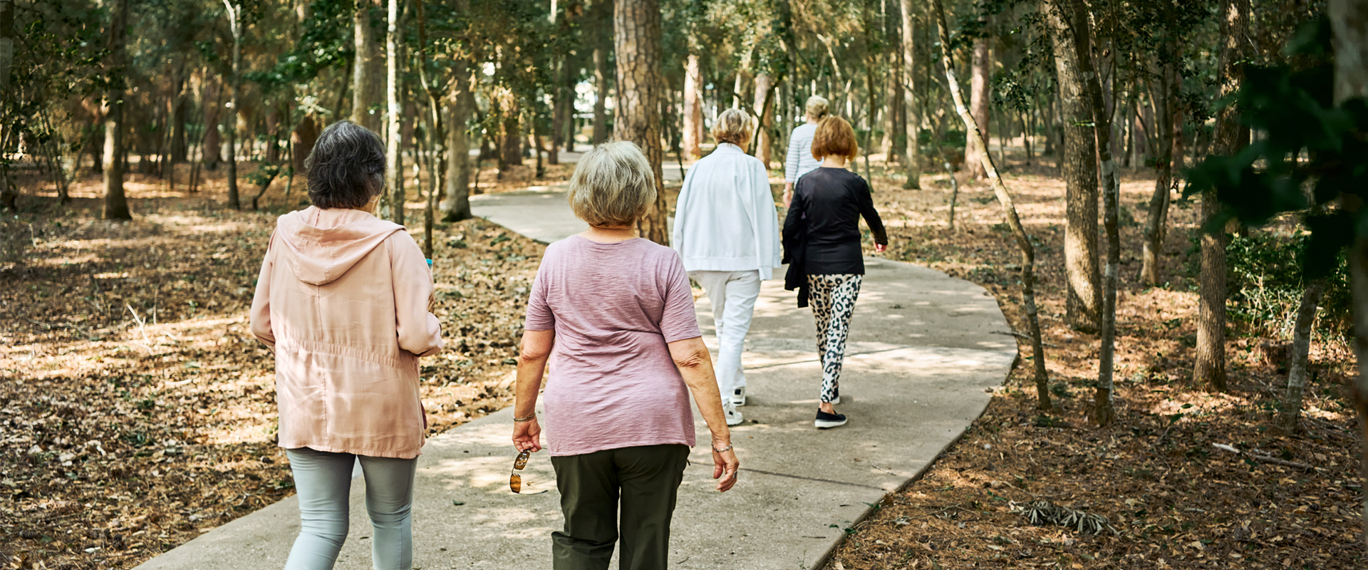 Fünf Personen gehen auf einem geschwungenen Weg durch einen lichten Wald. Fünf Personen gehen von hinten gesehen auf einem befestigten, geschwungenen Weg durch einen lichten Wald. Der Boden ist von Laub bedeckt, Bäume säumen den Weg.